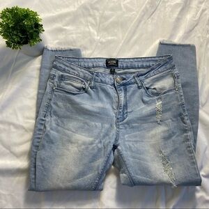 Iris Jeans Los Angeles  Ripped Denim 11